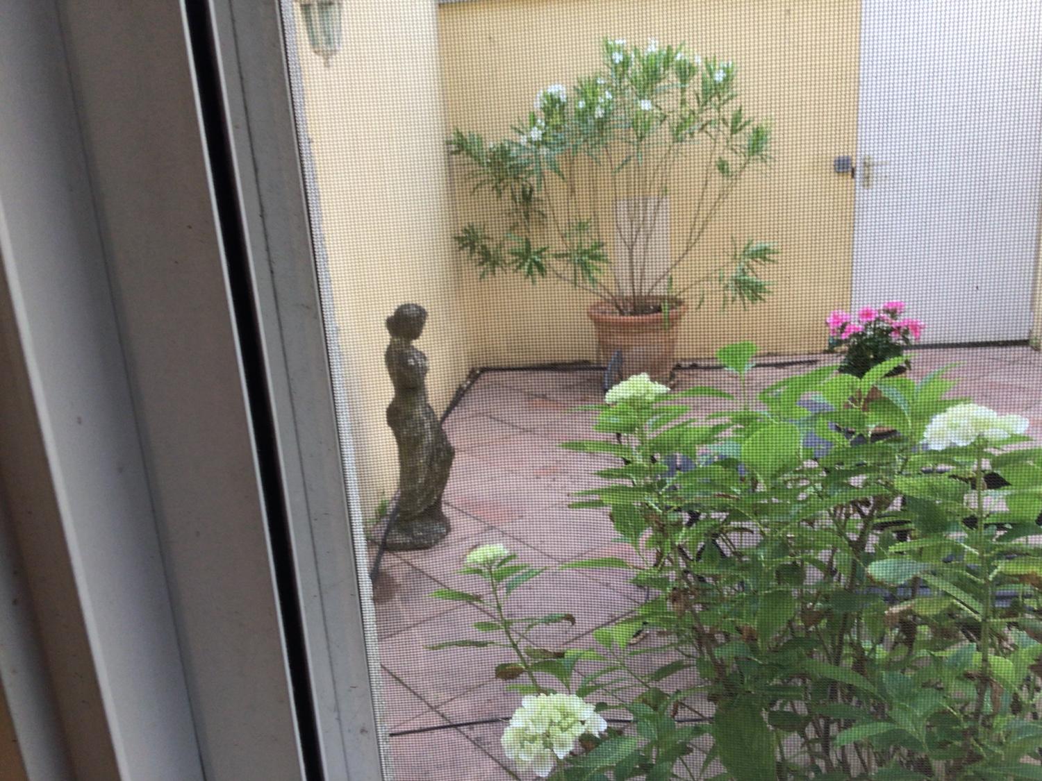  en venta villa Mougins Alpes-Maritimes 13