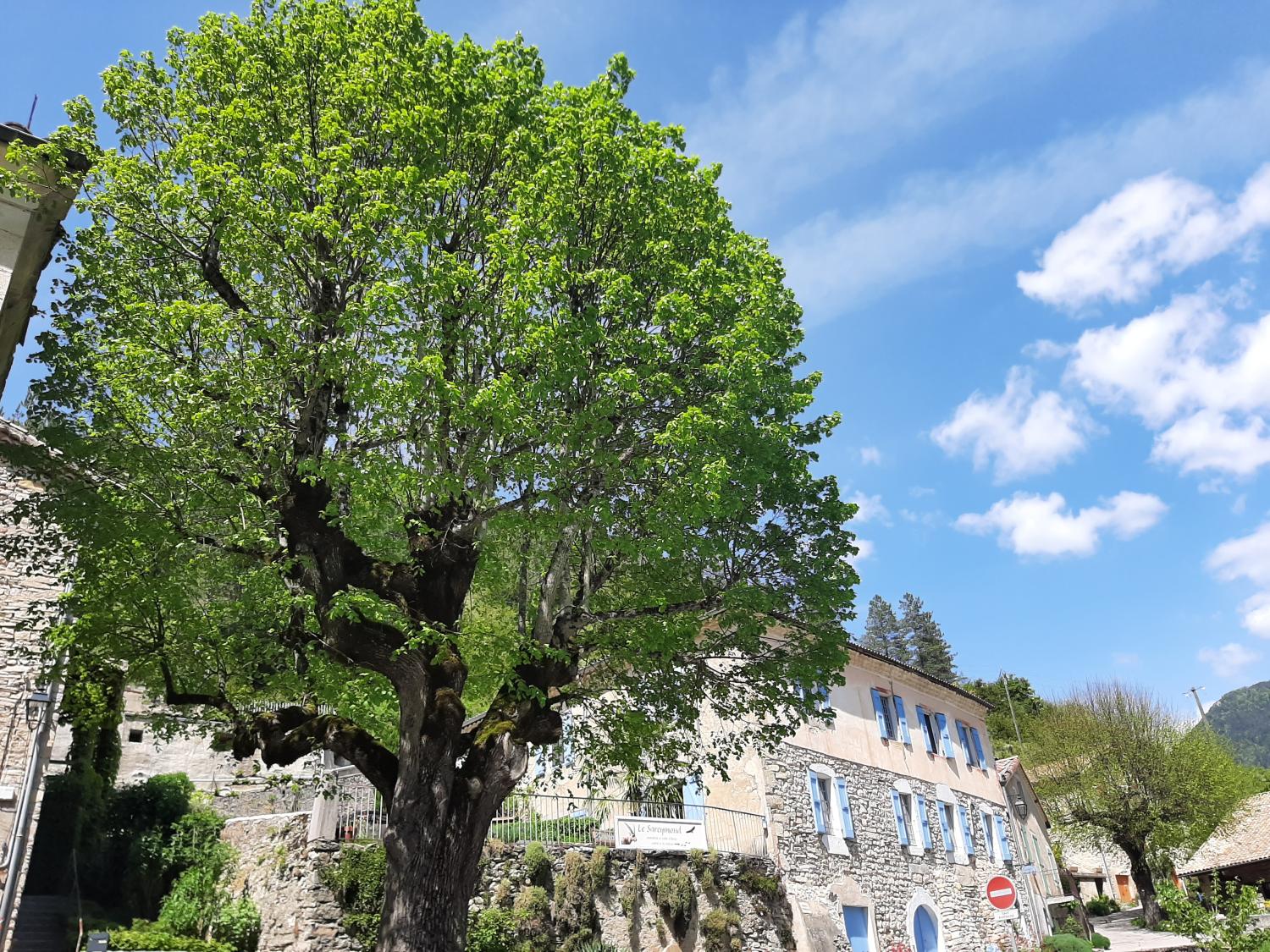 en venta casa independiente Châtillon-en-Diois Drôme 44