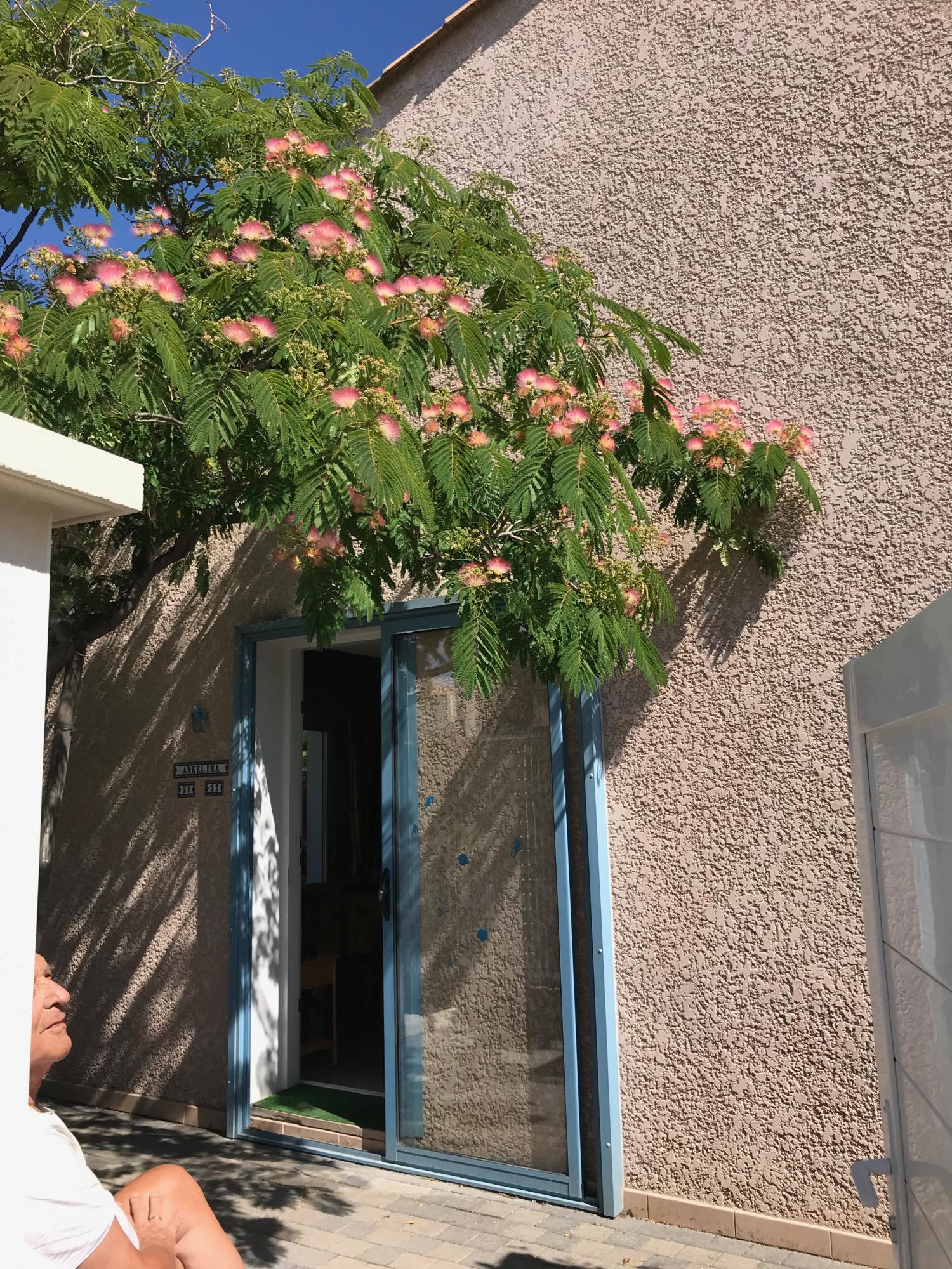 en venta villa Agde Hérault 14