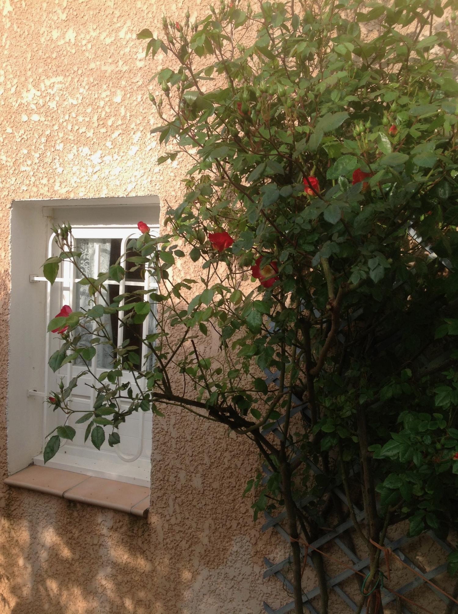en venta villa Agde Hérault 6