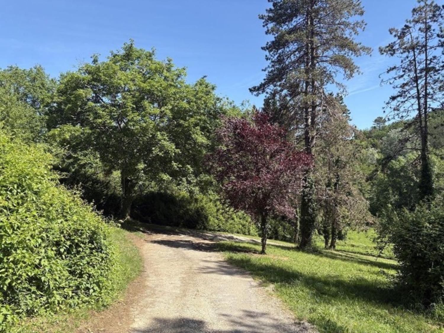  en venta casa independiente Puy-l'Évêque Lot 20