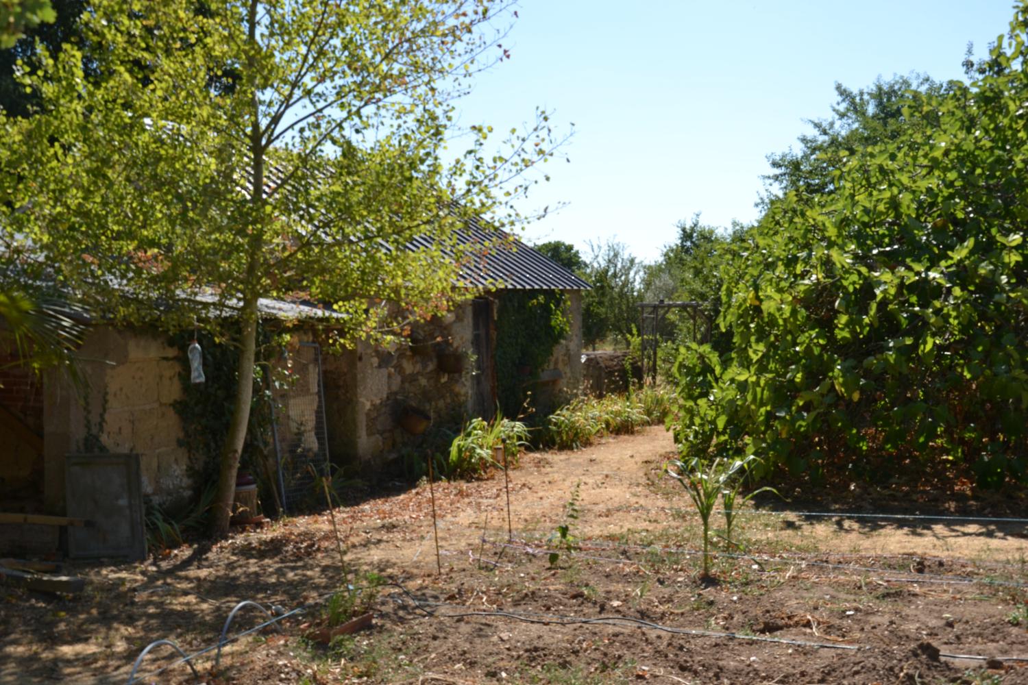  en venta casa rústica Chavagnes Maine-et-Loire 3