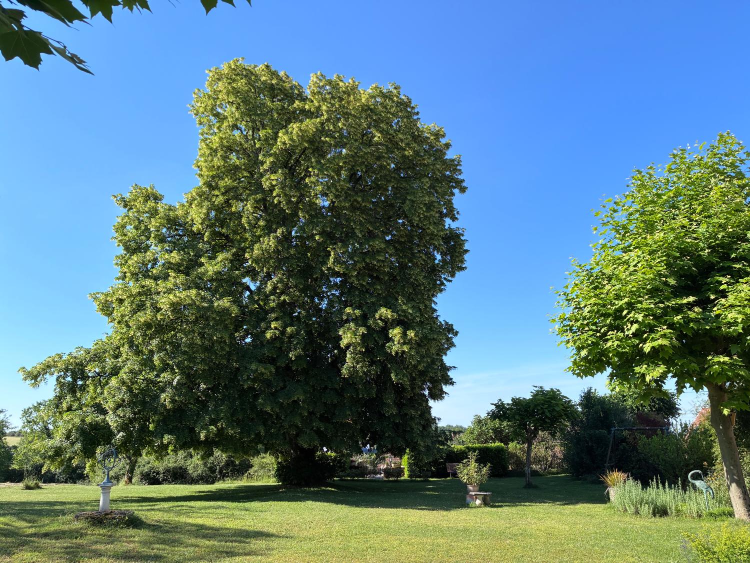  en venta finca rústica Saint-Cyprien Dordoña 4