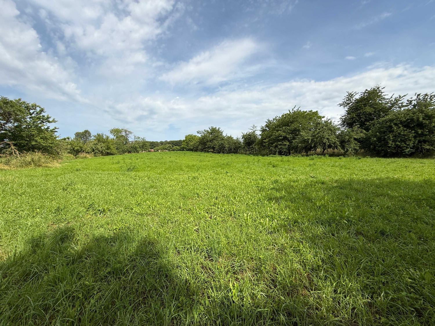 en venta finca de pueblo Augicourt Haute-Saône 33