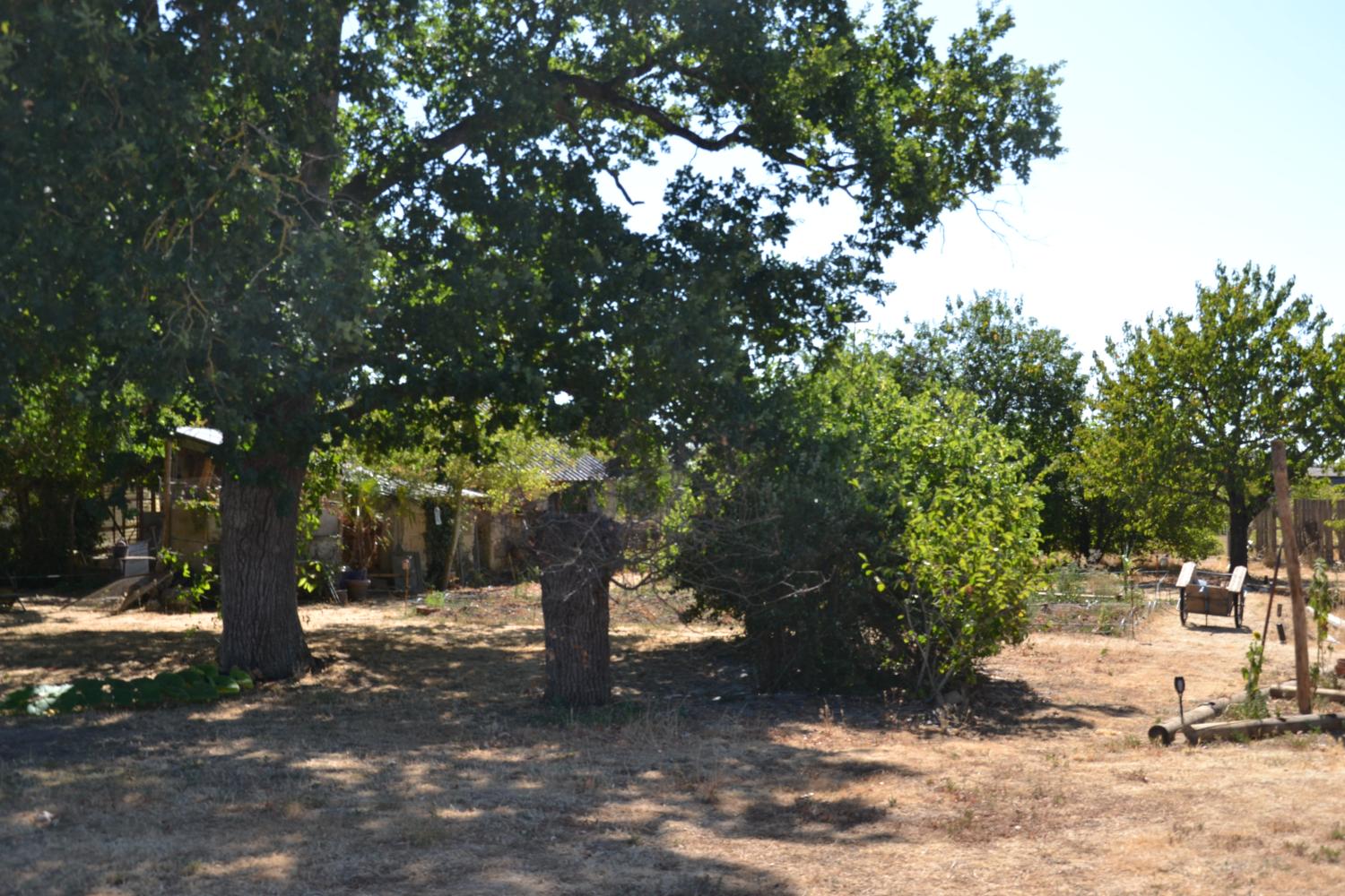  en venta casa rústica Chavagnes Maine-et-Loire 4