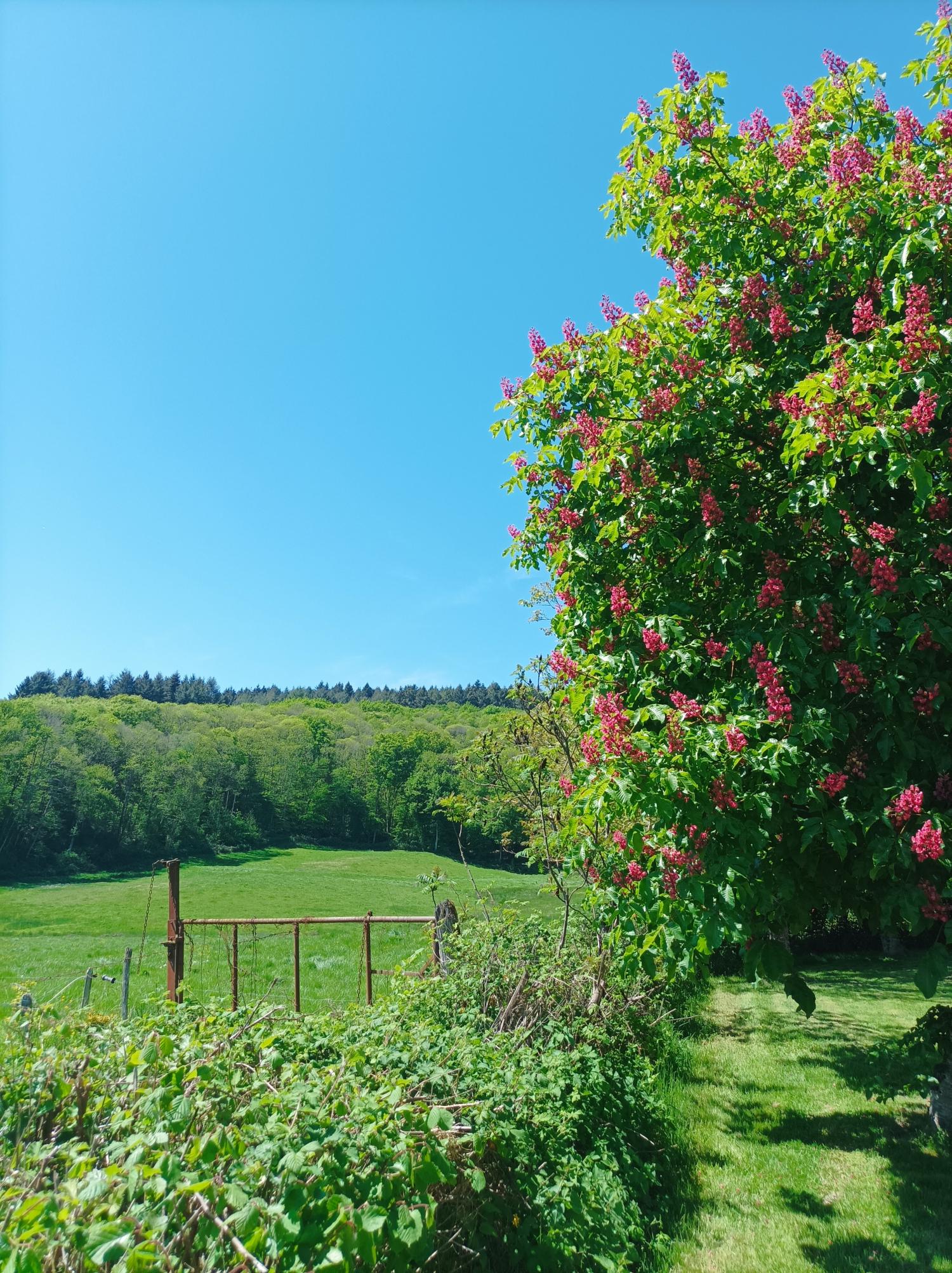 en venta casa con anexo de invitados Thil-sur-Arroux Saône-et-Loire 29