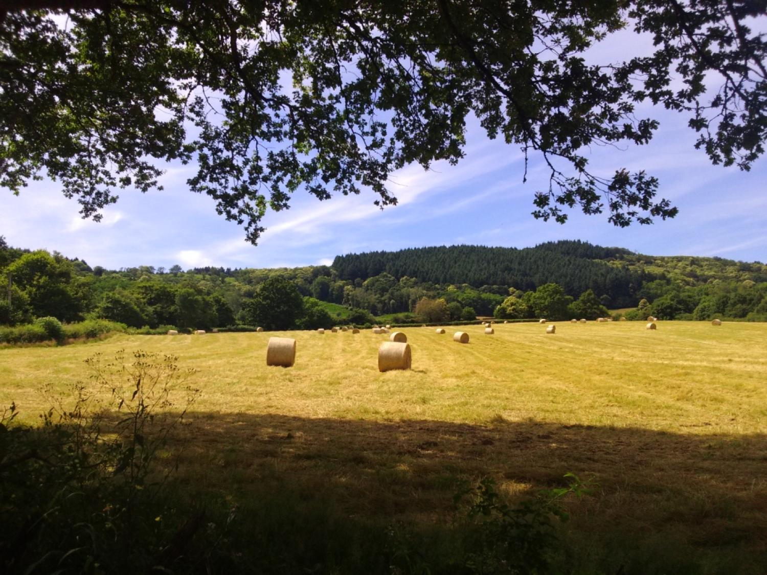  en venta casa con anexo de invitados Thil-sur-Arroux Saône-et-Loire 30