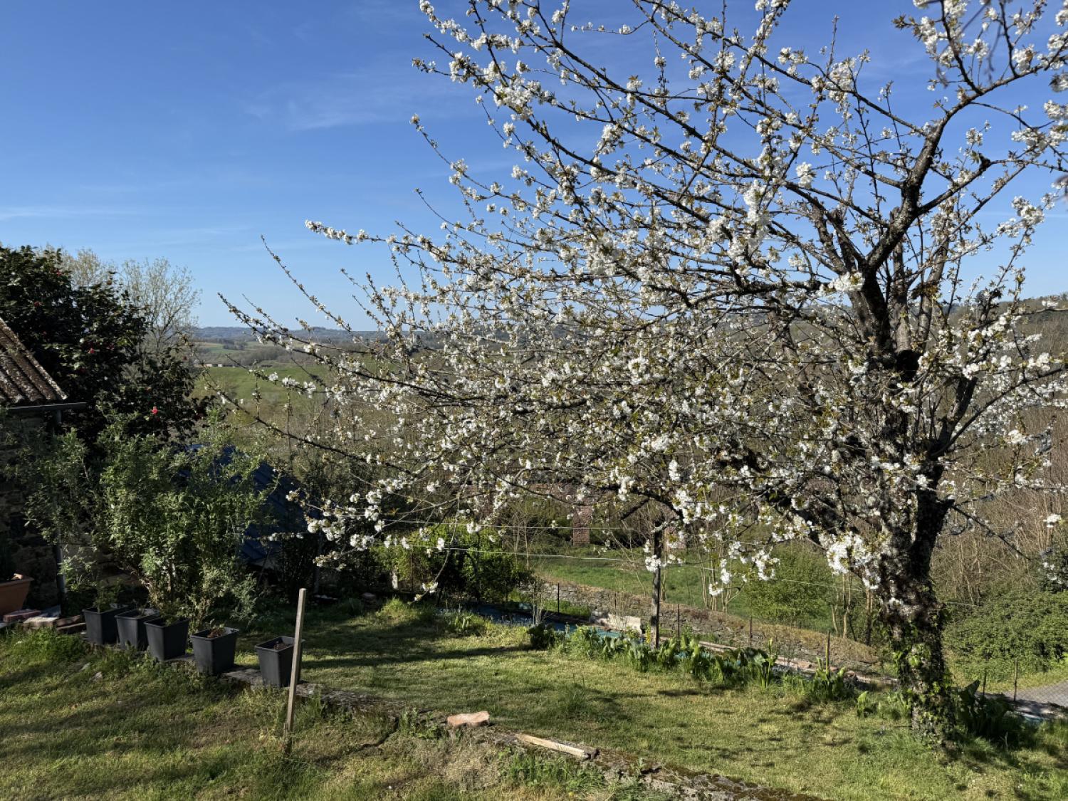 en venta casa independiente Vignols Corrèze 19
