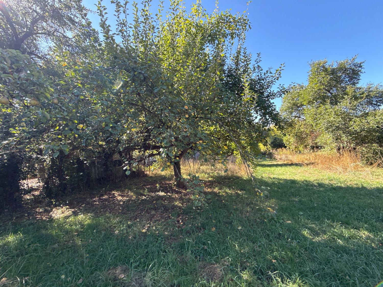  en venta finca de pueblo Corre Haute-Saône 28