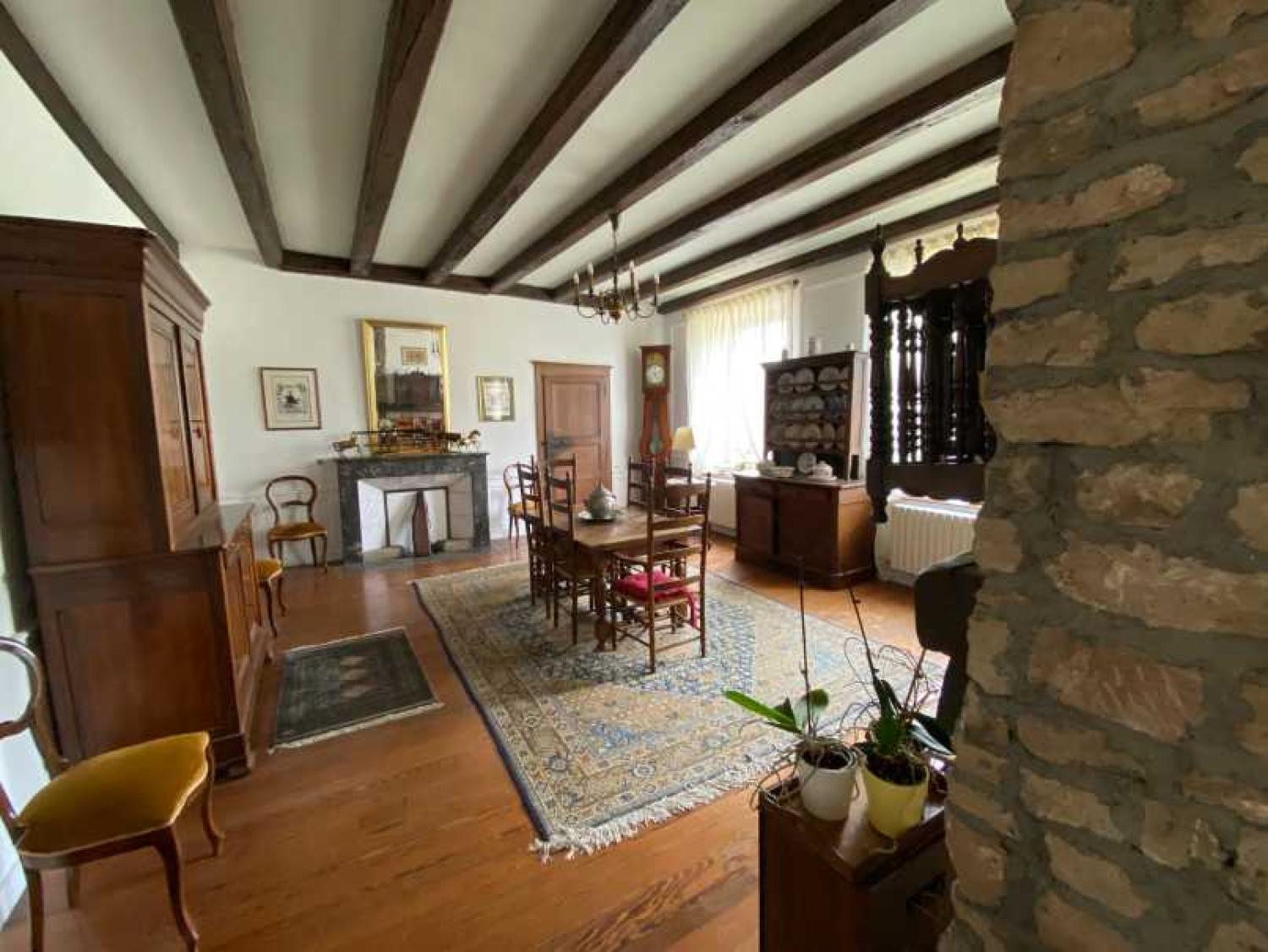  en venta mansión Châtillon-sur-Saône Vosgos 21