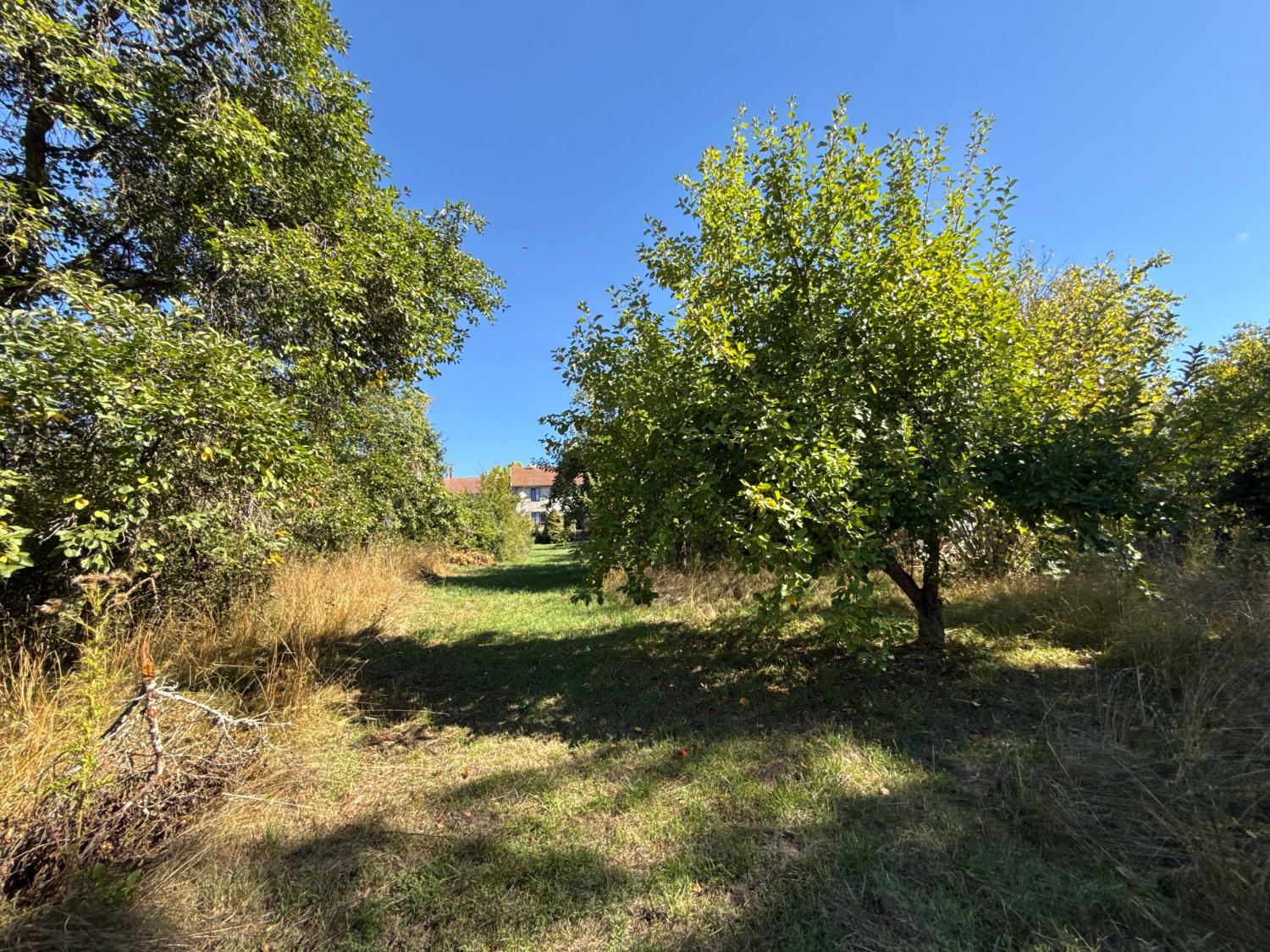 en venta finca de pueblo Corre Haute-Saône 30
