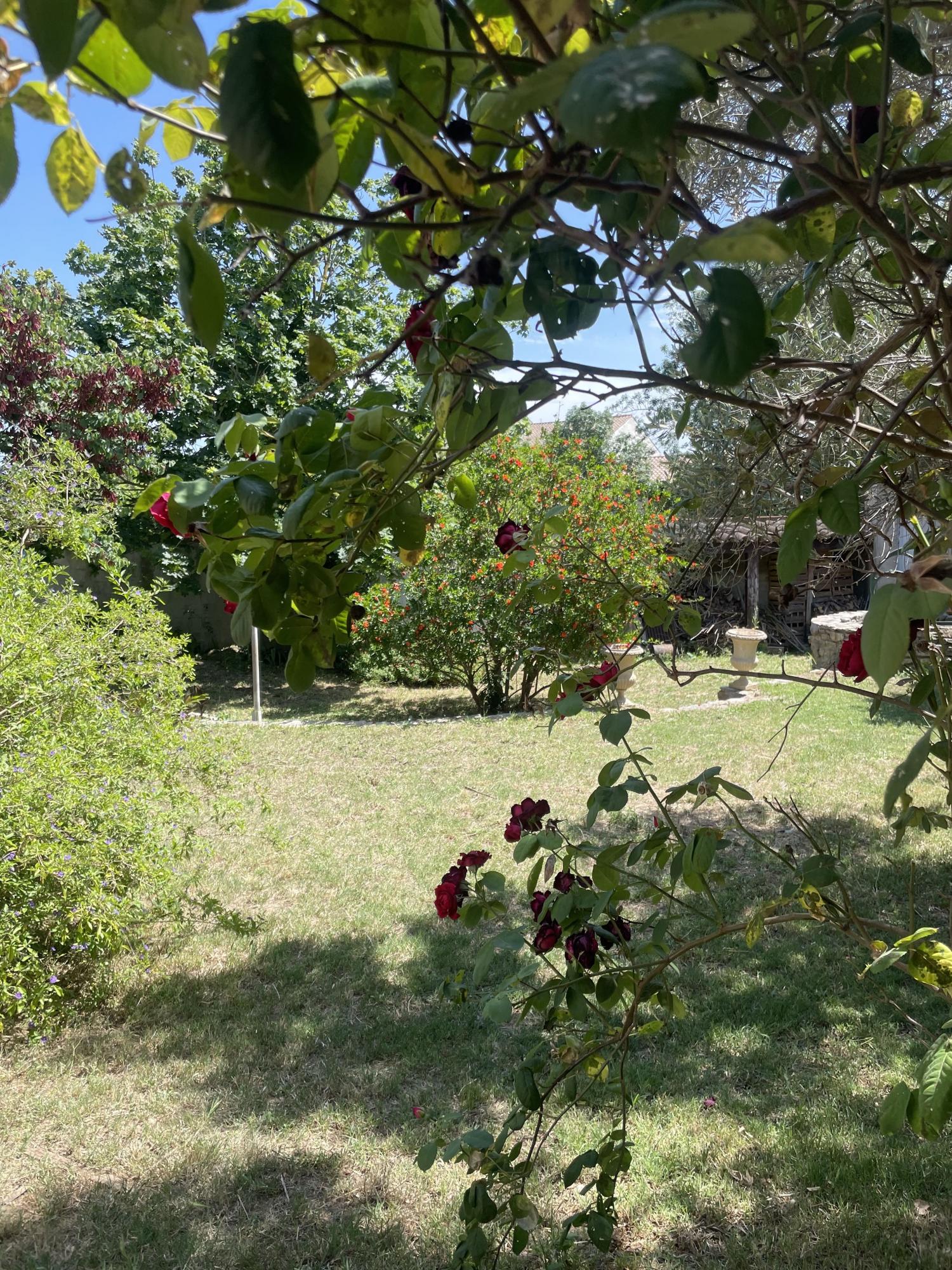 en venta casa de pueblo Narbonne Aude 3