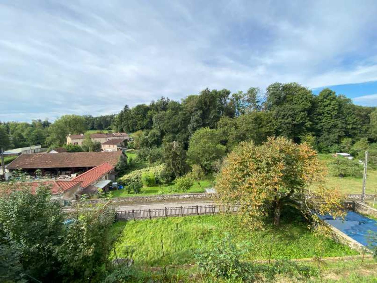  en venta mansión Châtillon-sur-Saône Vosgos 36