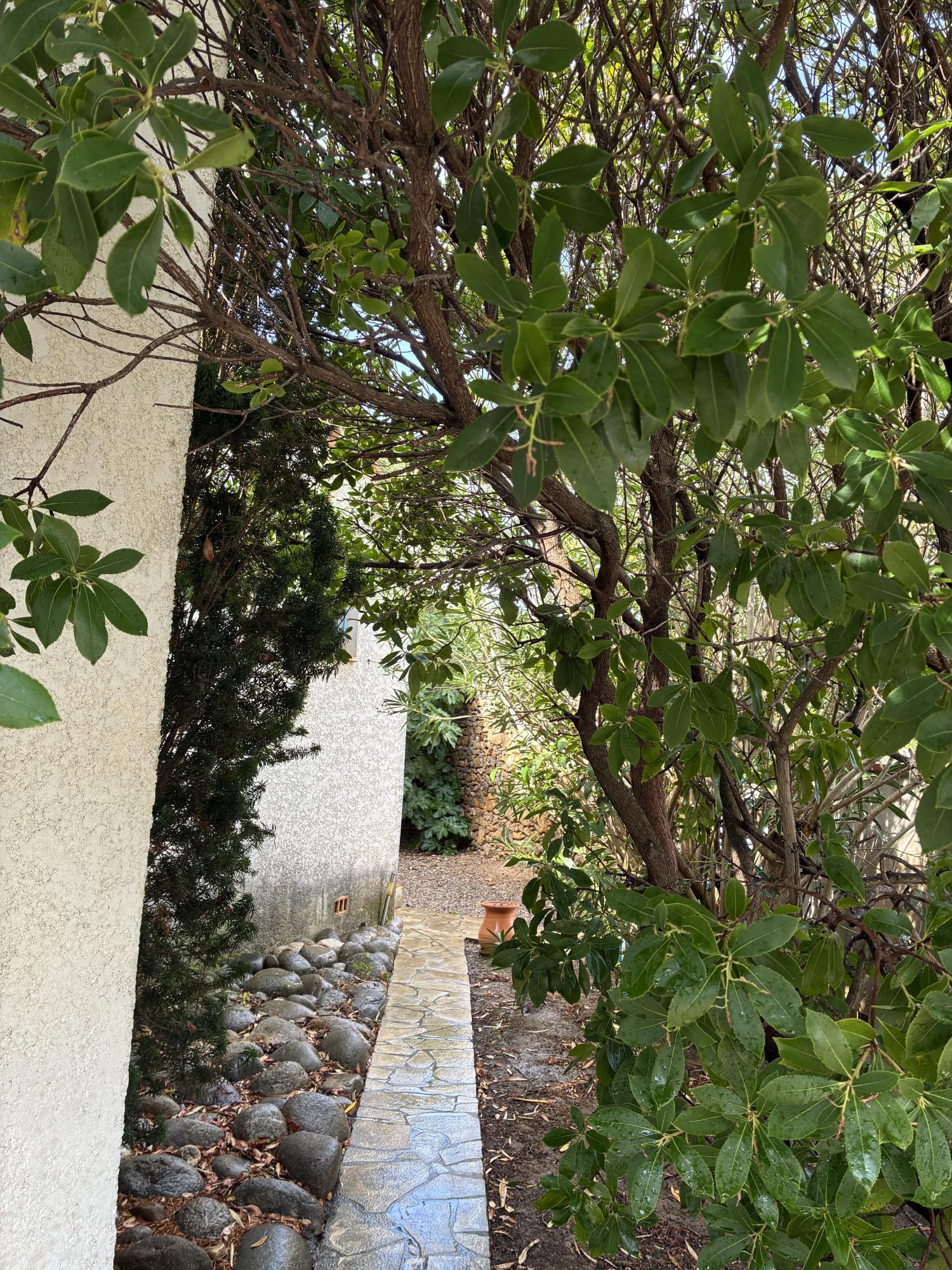 en venta casa de pueblo Narbonne Aude 13