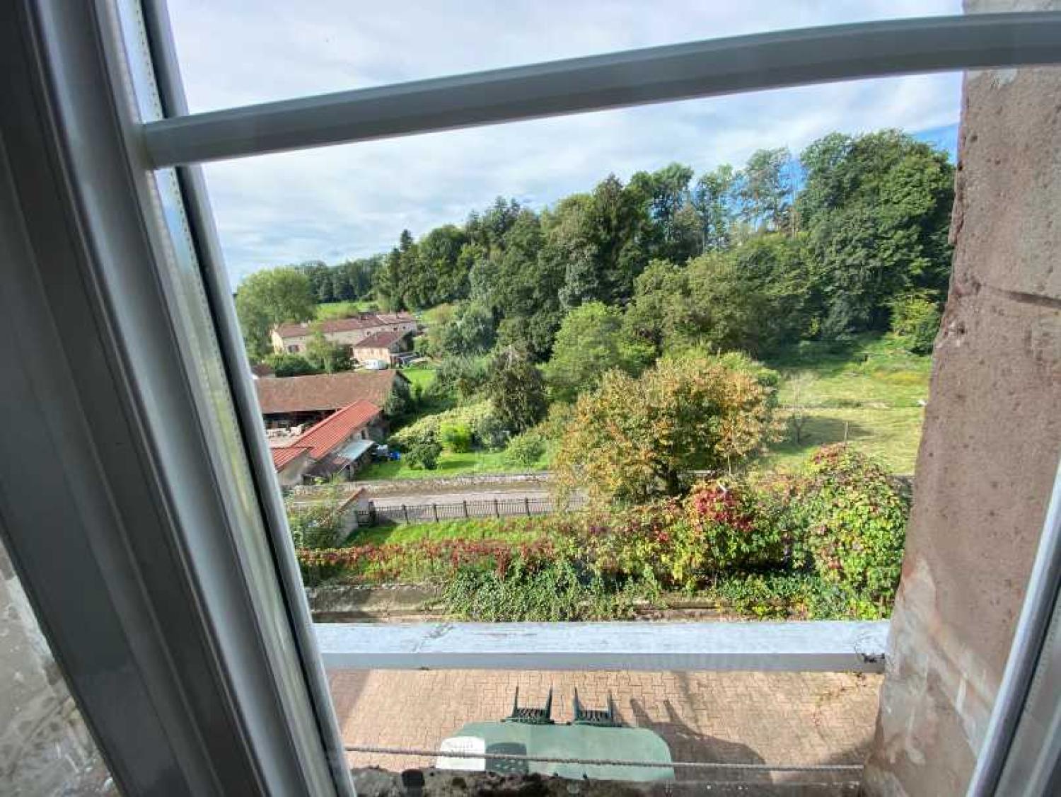  en venta mansión Châtillon-sur-Saône Vosgos 23