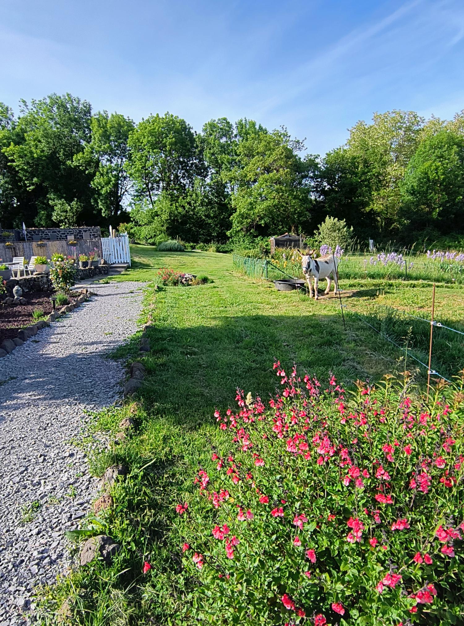  en venta casa con anexo de invitados Saint-Pons Ardèche 2