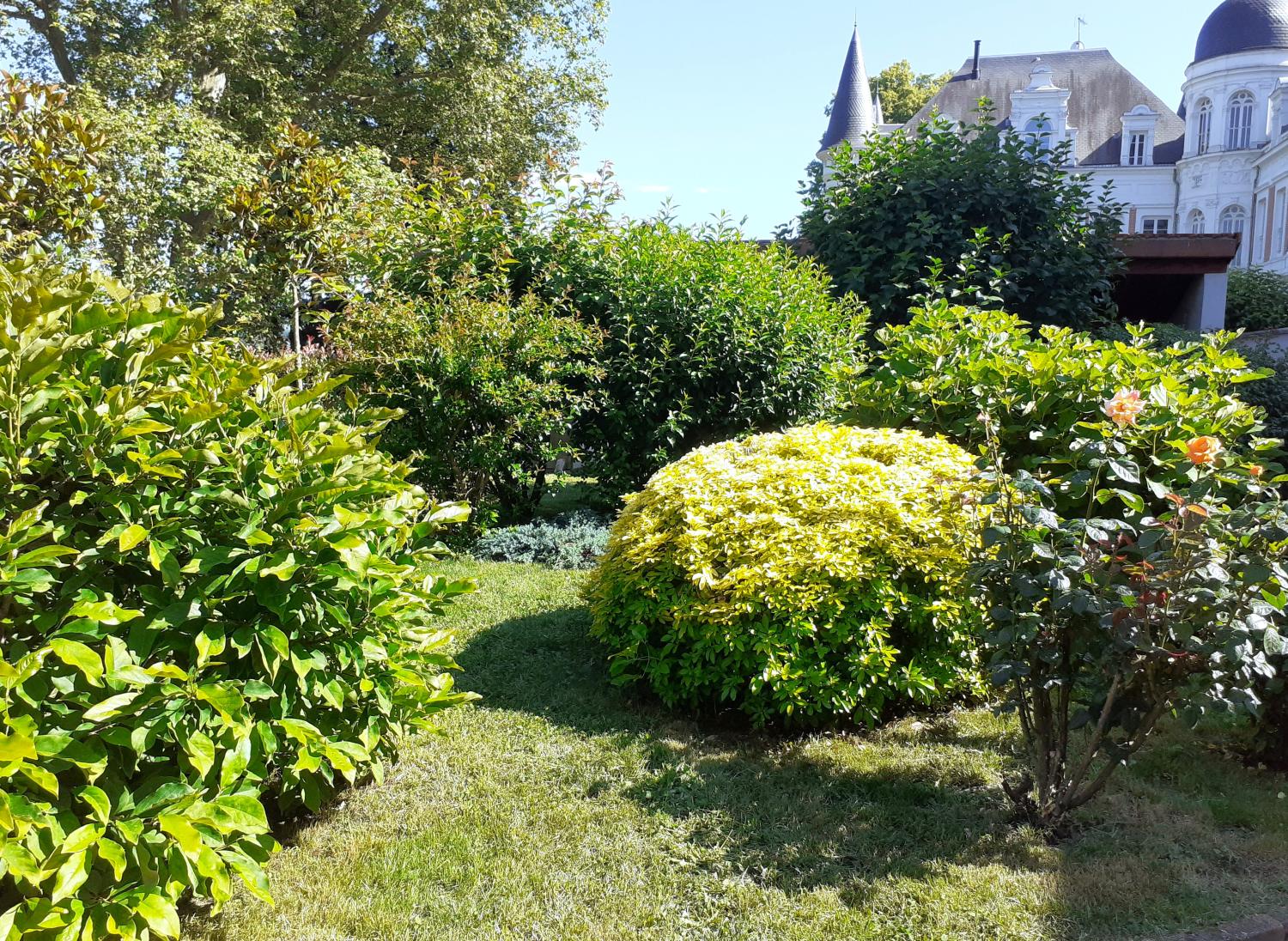 en venta casa Sorbiers Loire 6