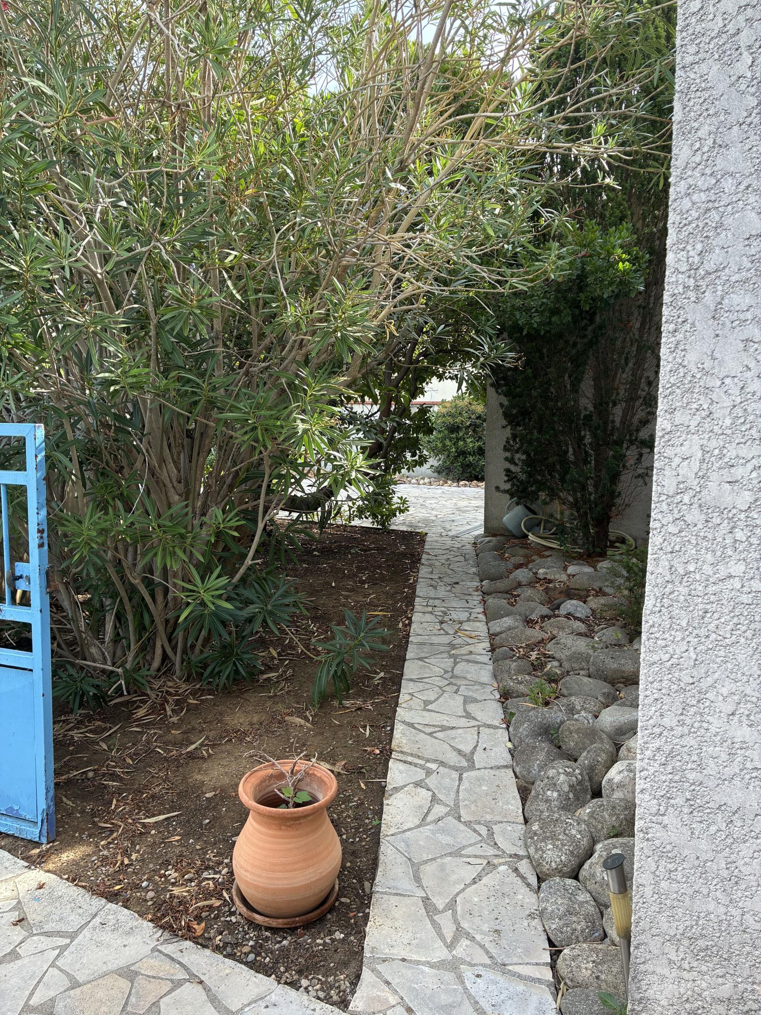 en venta casa de pueblo Narbonne Aude 12