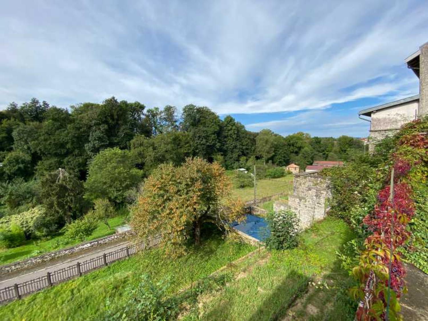  en venta mansión Châtillon-sur-Saône Vosgos 35